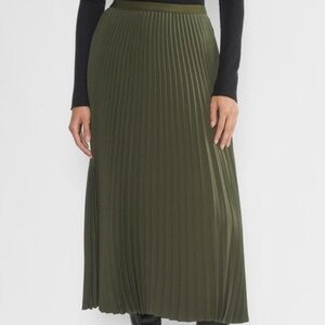 Aritzia Maxi Skirt
